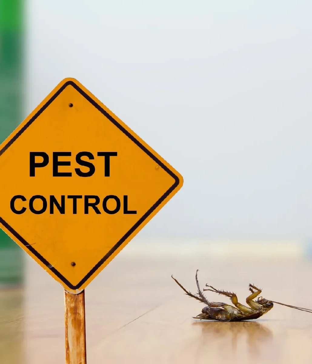 Pest Control Services