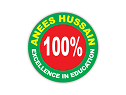 anees hussain logo